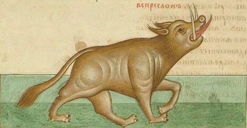 The Boar in Heraldry