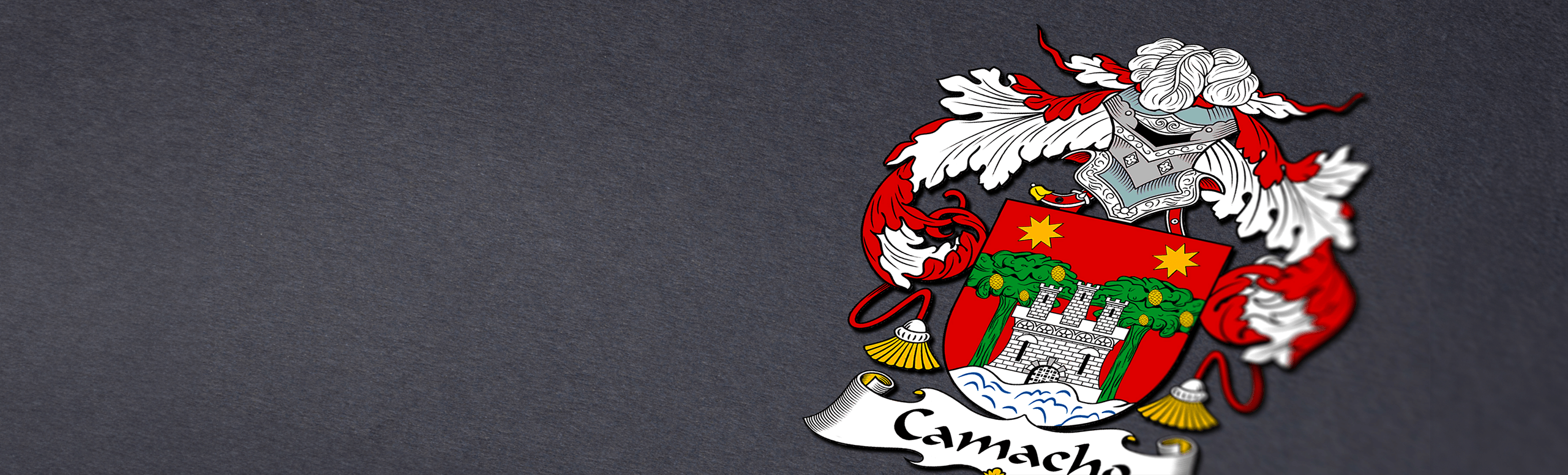 Camacho family crest on a dark gray background, showing a castle and trees with stars on a red shield.