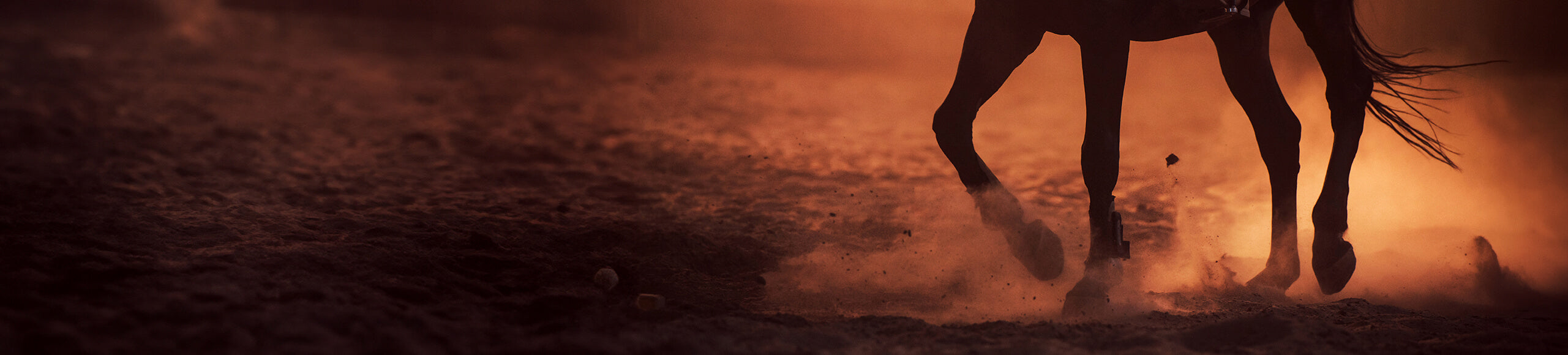 Close-up of a horse's legs galloping across dusty terrain, kicking up clouds of dust.